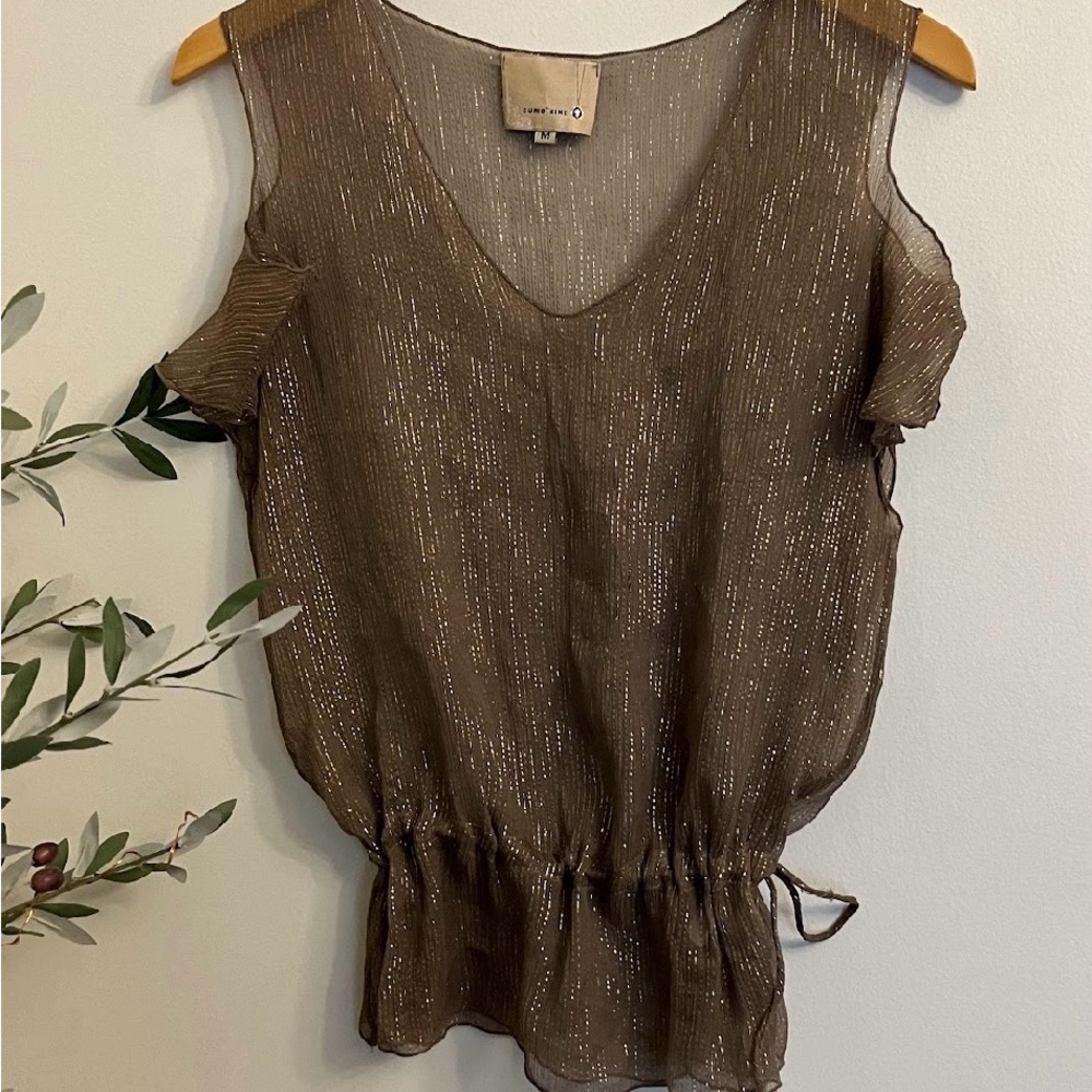 Brown Sheer Women's Top